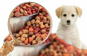 Premium Pet Food & Accessories Bundle