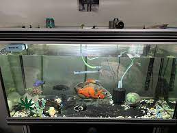 Complete Starter Aquarium Kit — Tank, Filter, Lights